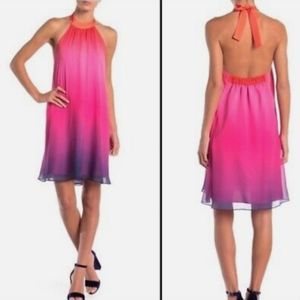 NWT Cynthia Steffe Ombre Halter Dress Viva Pink Size 6